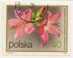 Sellos de Europa - Polonia -  Flores (Redodendro)