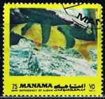 Sellos del Mundo : Asia : Bahrein : Peces