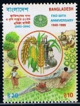 Sellos de Asia - Bangladesh -  Scott  486  50 aniversario de la FAO
