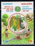 Stamps Bangladesh -  Scott  486  50 aniversario de la FAO