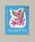 Sellos de Europa - Albania -  Nerium oleander