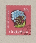 Stamps : Europe : Albania :  Myosotis alpwstris