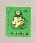 Stamps : Europe : Albania :  Nymphaea alba