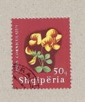 Sellos de Europa - Albania -  Lotus corniculata