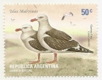 Stamps : America : Argentina :  Gaviota Gris