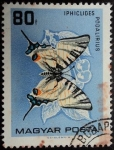 Stamps Hungary -  Iphiclides podalirius