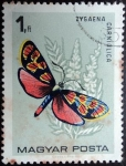 Stamps Hungary -  Zygaena carniolica
