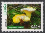 Stamps Spain -  SETAS-HONGOS: 1.232.051,00-Cantharellus cibarius
