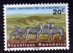 Stamps Rwanda -  Cebras