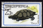 Stamps : Europe : Albania :  Ermis Arbicularis