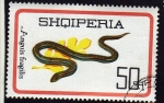 Stamps Europe - Albania -  Anguis Fragilis