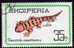 Stamps Albania -  Tarentula Lauritanica