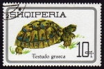 Stamps Albania -  Testudo Graeca