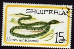 Stamps : Europe : Albania :  Natrix Natrix  PERSA
