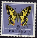 Sellos de Europa - Polonia -  Papilio Machaon