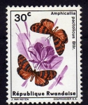 Stamps Rwanda -  Anphicalia