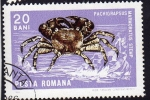 Stamps Romania -  Cangrejo