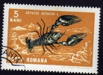 Stamps Romania -  Ascatus Ascatus