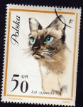 Stamps Poland -  Gato Siames