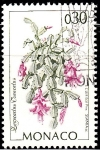 Stamps Monaco -  Zungocactus Truncatos	