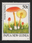 Stamps Oceania - Papua New Guinea -  SETAS-HONGOS: 1.208.002,00-Amanita hemibapha