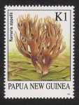 Sellos del Mundo : Oceania : Pap�a_Nueva_Guinea : SETAS-HONGOS: 1.208.004,00-Ramaria zippeli