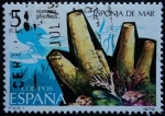 Stamps Spain -  Esponja de mar / Euspongia officinalis