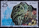 Stamps Spain -  Actinia / Actinia equina