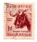 Stamps : Africa : South_Africa :  FLORA Y FAUNA-