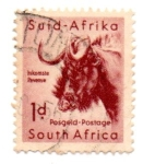 Stamps South Africa -  FLORA Y FAUNA-