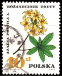 Stamps Poland -  Azalea Portical L.	