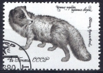 Stamps Russia -  Zorro.
