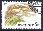 Stamps Russia -  Hierba.