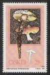 Stamps Africa - South Africa -  SETAS-HONGOS: 1.128.003,00-Termitomyces reticulatus, 
