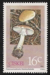 Stamps South Africa -  SETAS-HONGOS: 1.128.011,00-Amanita phalloides