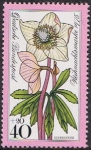Stamps Germany -  NAVIDAD 1975. FLORA DE LOS ALPES. ELÉBORO