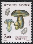 Sellos del Mundo : Europa : Francia : SETAS-HONGOS: 1.149.021,00-Gyroporus cyanescens