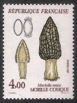 Stamps France -  SETAS-HONGOS: 1.149.023,00-Morchella conica