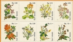 Stamps Oceania - Marshall Islands -  Flores