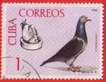 Stamps Cuba -  Colombofilia