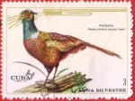 Stamps Cuba -  Fauna Silvestre