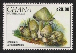 Stamps Africa - Ghana -  SETAS-HONGOS: 1.154.021,00-Coprinus atramentarius