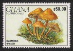 Stamps Ghana -  SETAS-HONGOS: 1.154.022,00-Marasmius odeades