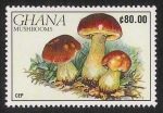 Stamps Africa - Ghana -  SETAS-HONGOS: 1.154.024,00-Boletus edulis