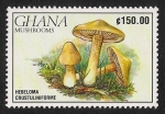 Stamps Africa - Ghana -  SETAS-HONGOS: 1.154.025,00-Hebeloma crustuliniforme