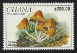 Stamps Africa - Ghana -  SETAS-HONGOS: 1.154.026,00-Coprinus micaceus