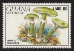 Sellos de Africa - Ghana -  SETAS-HONGOS: 1.154.028,00-Amanita phalloides