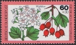 Stamps Germany -  FLORA DE LOS BOSQUES. ESPINO