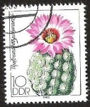 Stamps Germany -  DDR - FLORA