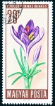 Stamps : Europe : Hungary :  